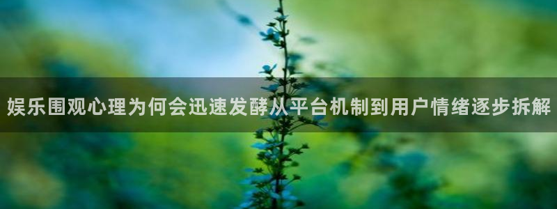 吃瓜视频网站:娱乐围观心理为何会迅速发酵从平台机制到用户情绪逐步拆解