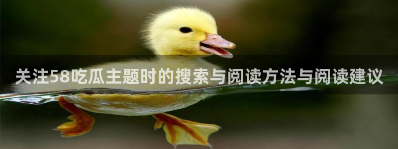 17吃瓜:关注58吃瓜主题时的搜索与阅读方法与阅读建议